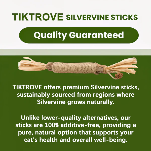 Tryviralnow Natural Silvervine Dental Sticks