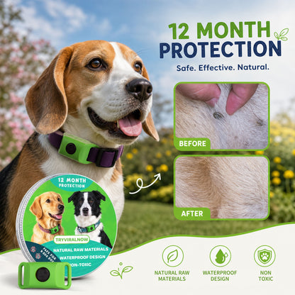 Tryviralnow™ 12 Months Flea and Tick Free