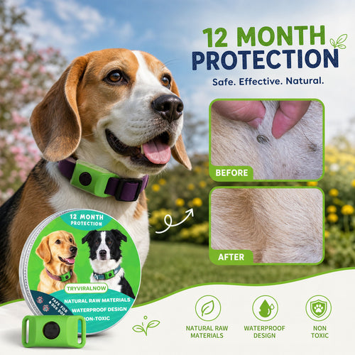 Tryviralnow™ 12 Months Flea and Tick Free
