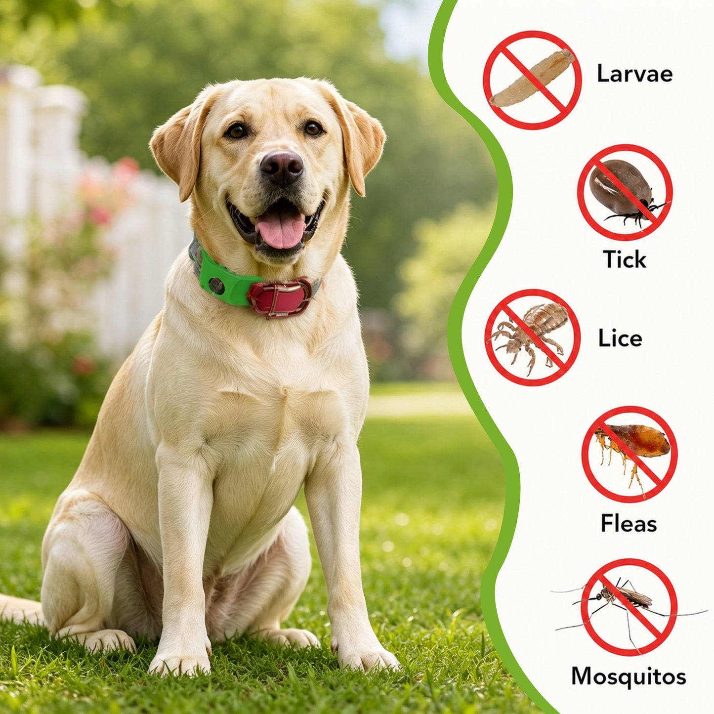 Tryviralnow™ 12 Months Flea and Tick Free