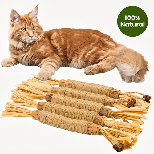 Tryviralnow Natural Silvervine Dental Sticks