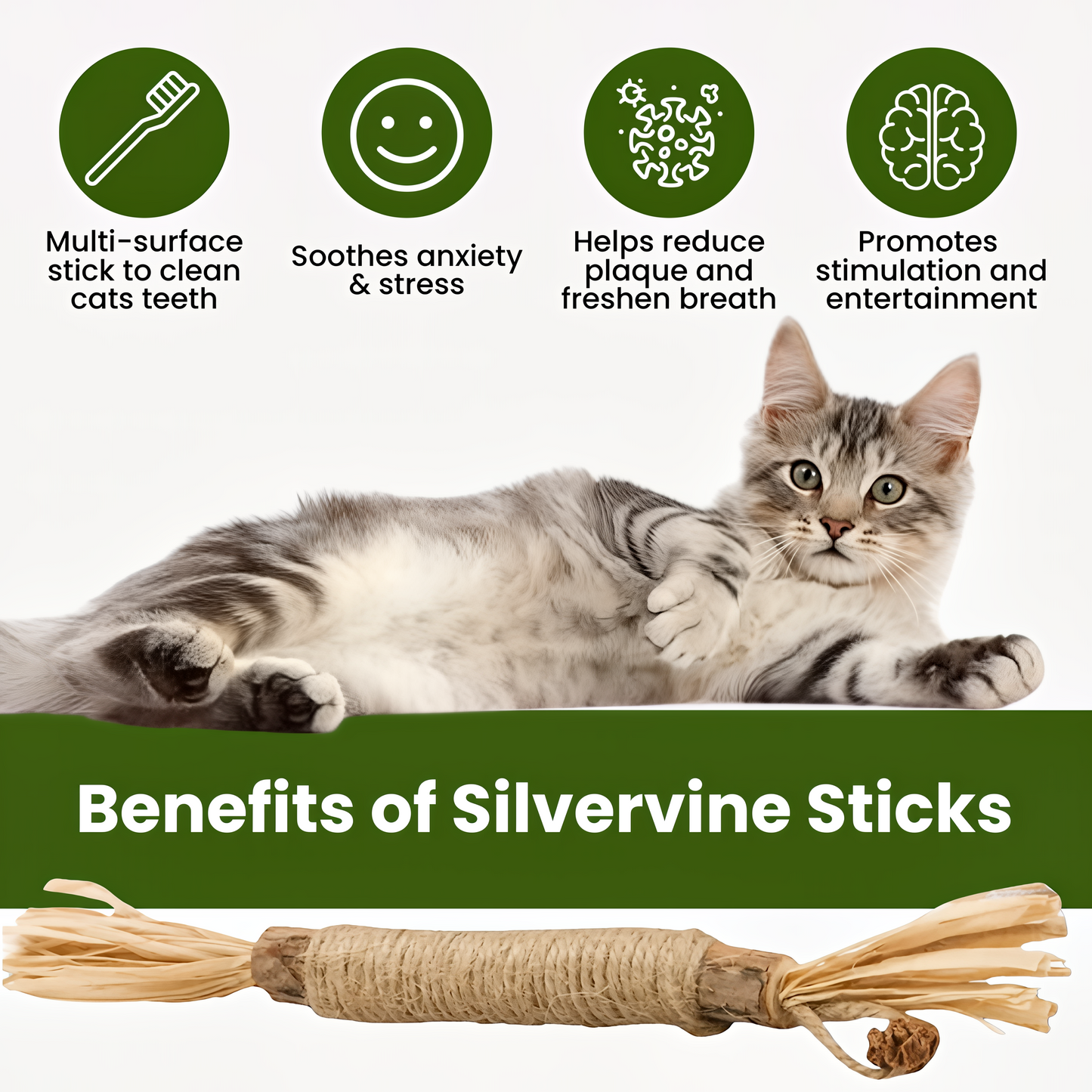 Tryviralnow Natural Silvervine Dental Sticks