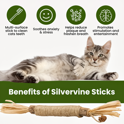 Tryviralnow Natural Silvervine Dental Sticks