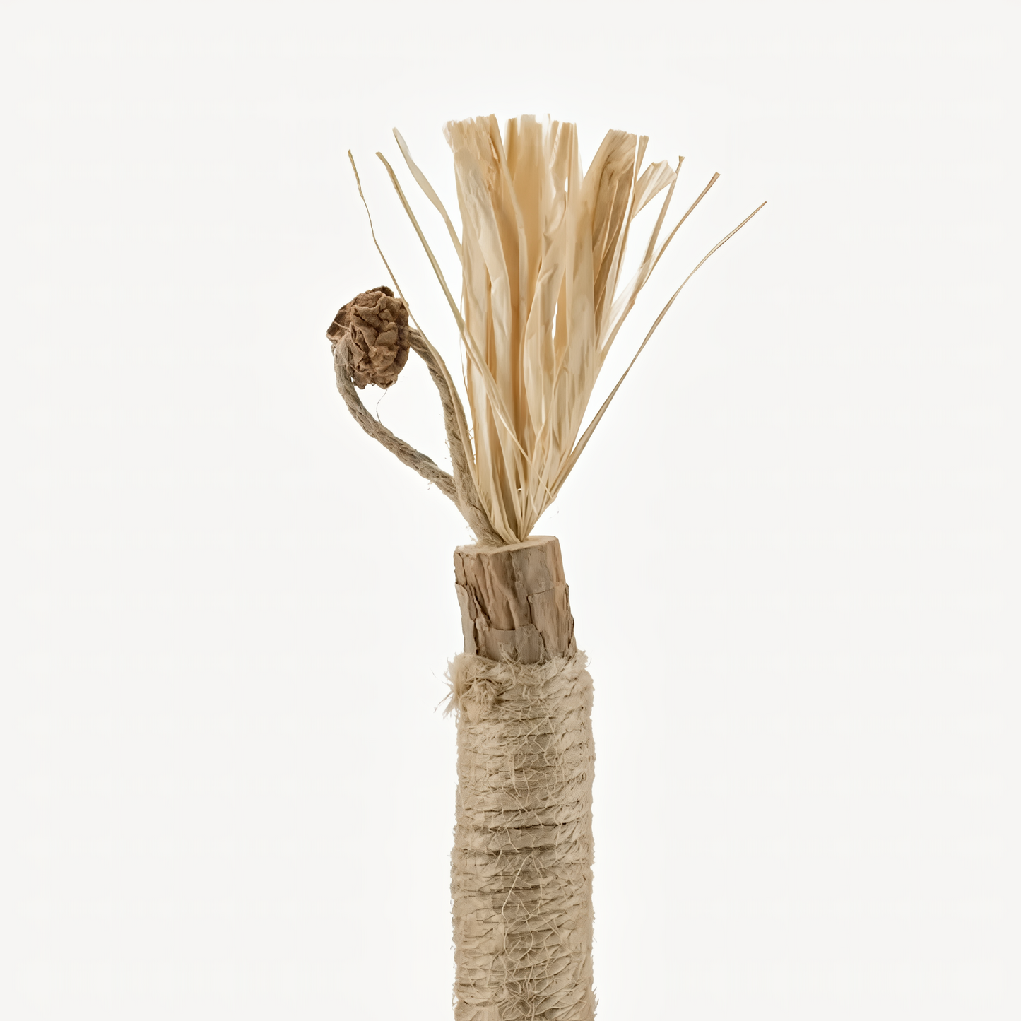 Tryviralnow Natural Silvervine Dental Sticks